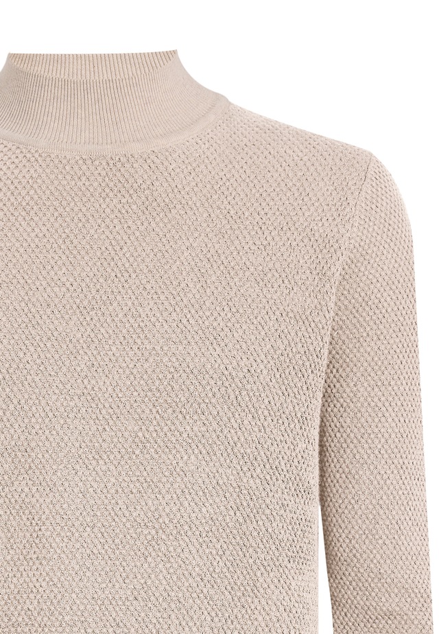 Felix Hardy Rollkragenpullover »Rollkragenpullover«