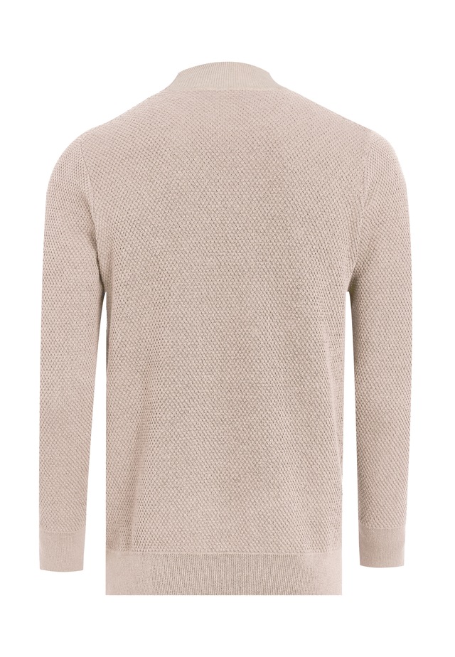 Felix Hardy Rollkragenpullover »Rollkragenpullover«