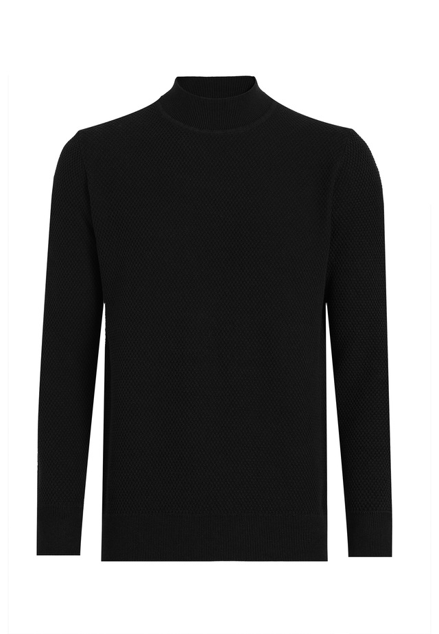 Felix Hardy Rollkragenpullover »Rollkragenpullover«