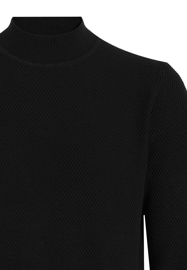 Felix Hardy Rollkragenpullover »Rollkragenpullover«