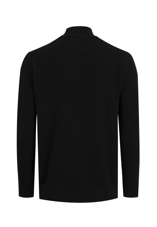 Felix Hardy Rollkragenpullover »Rollkragenpullover«