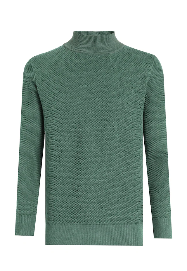 Felix Hardy Rollkragenpullover »Rollkragenpullover«