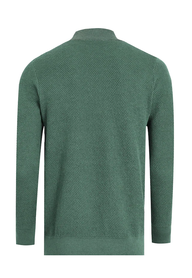Felix Hardy Rollkragenpullover »Rollkragenpullover«