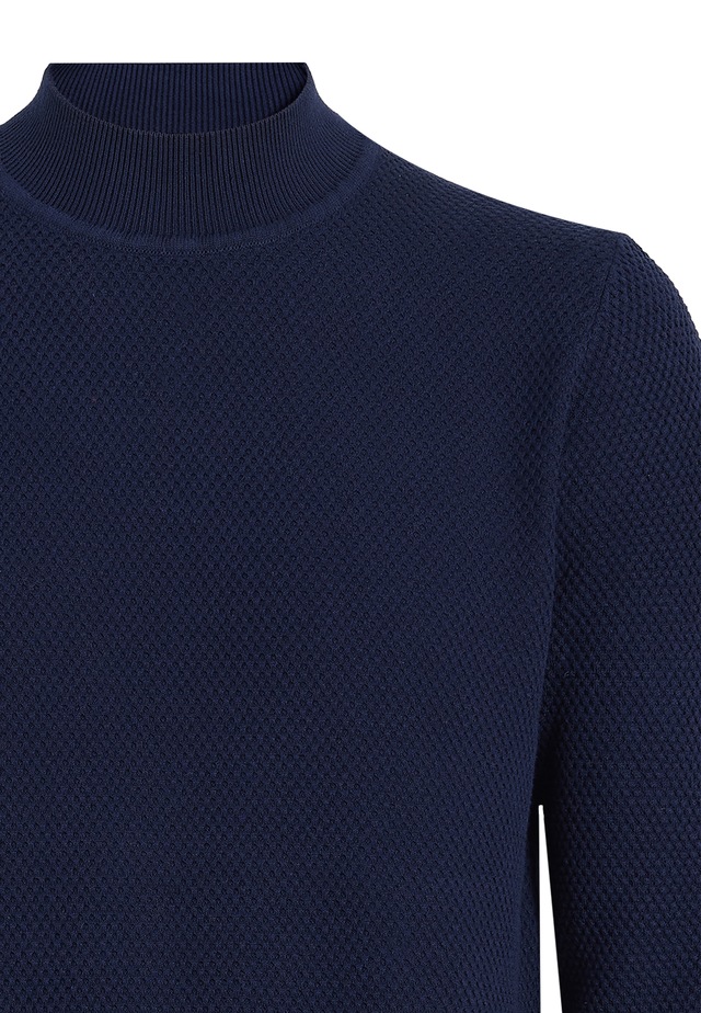 Felix Hardy Rollkragenpullover »Rollkragenpullover«