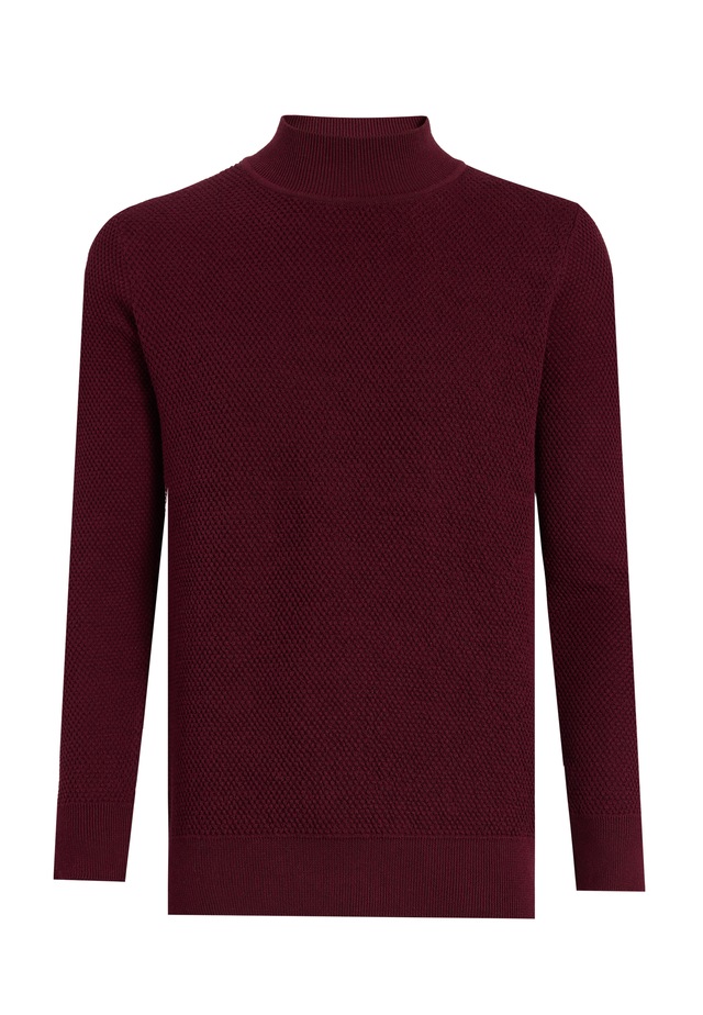 Felix Hardy Rollkragenpullover »Rollkragenpullover«