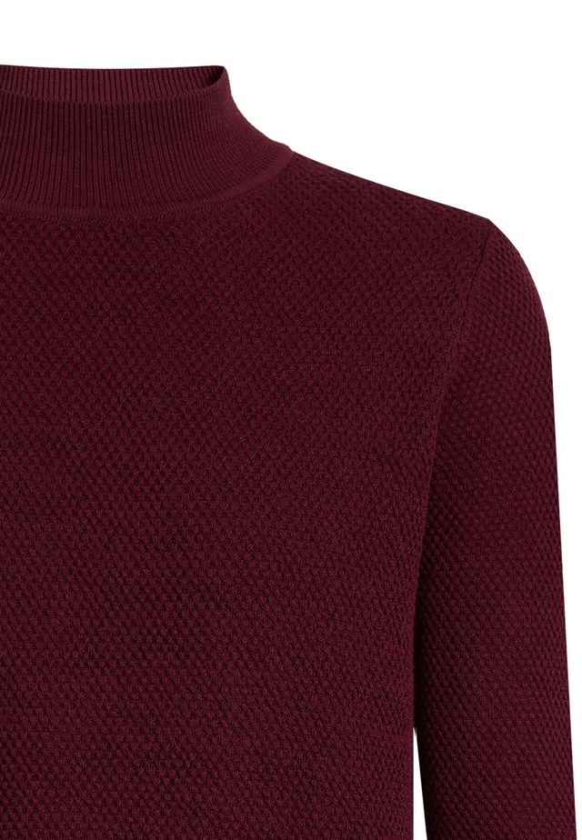 Felix Hardy Rollkragenpullover »Rollkragenpullover«