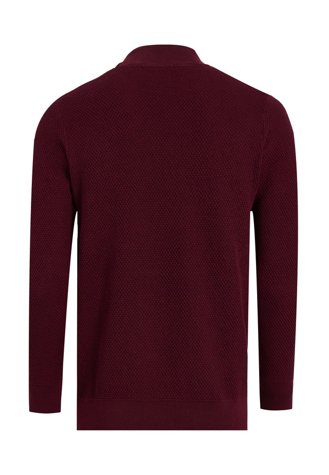 Felix Hardy Rollkragenpullover »Rollkragenpullover«