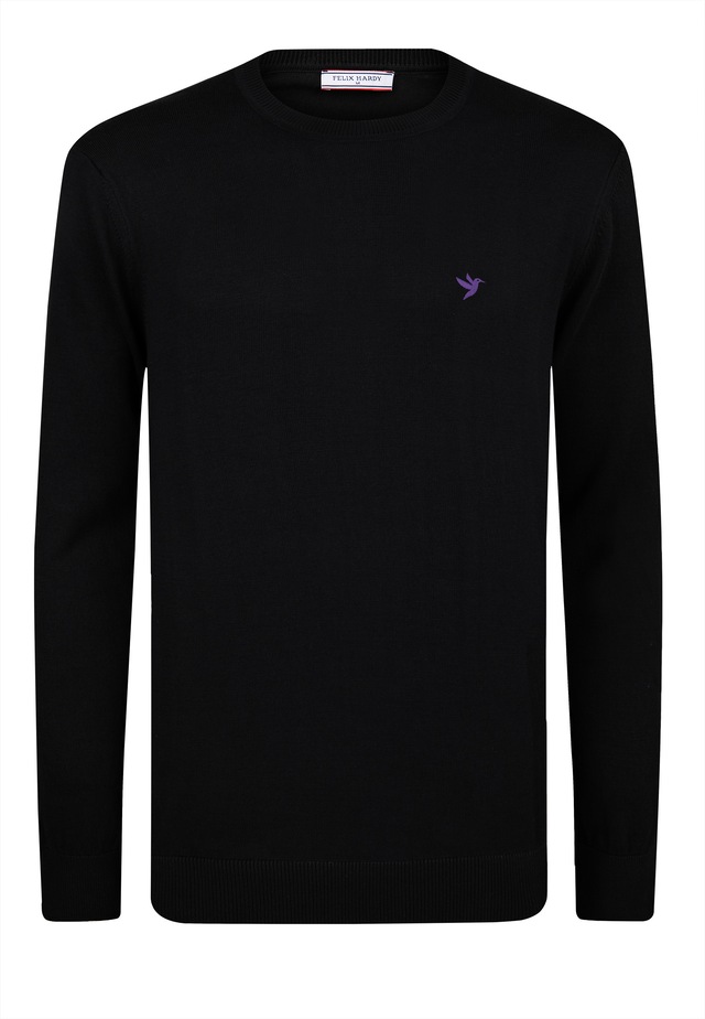 Felix Hardy Rundhalspullover »Pullover mit Rundhalsausschnitt 2er-Pack« Set,