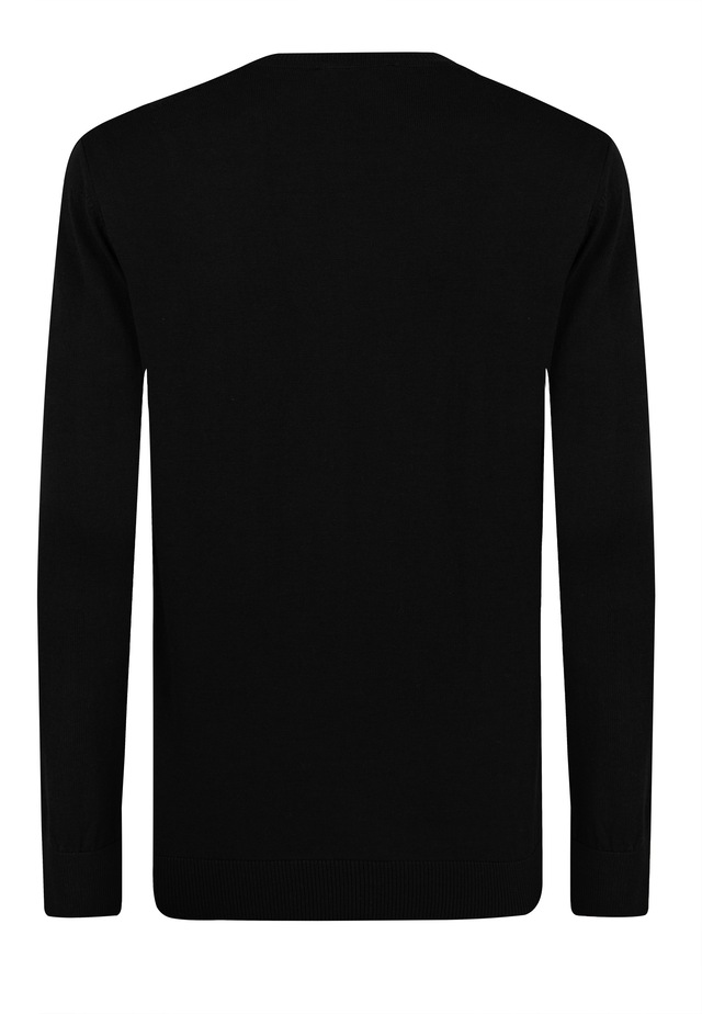 Felix Hardy Rundhalspullover »Pullover mit Rundhalsausschnitt 2er-Pack« Set,