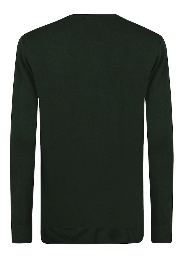 Felix Hardy V-Ausschnitt-Pullover »Pullover mit V-Ausschnitt«