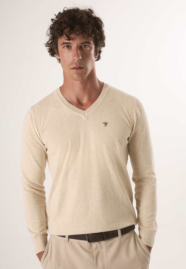 Felix Hardy V-Ausschnitt-Pullover »Pullover mit V-Ausschnitt«