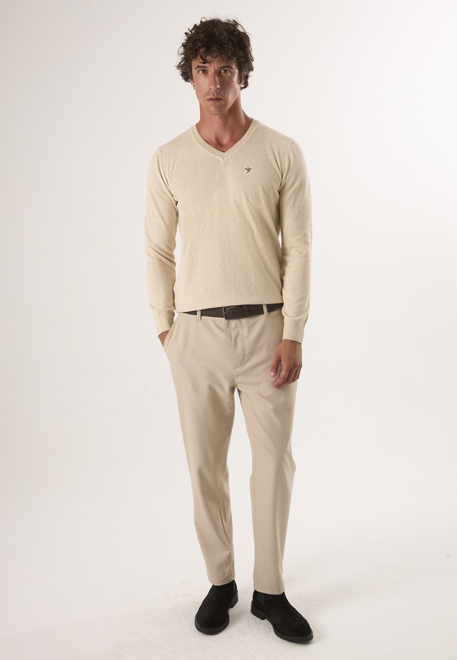 Felix Hardy V-Ausschnitt-Pullover »Pullover mit V-Ausschnitt«