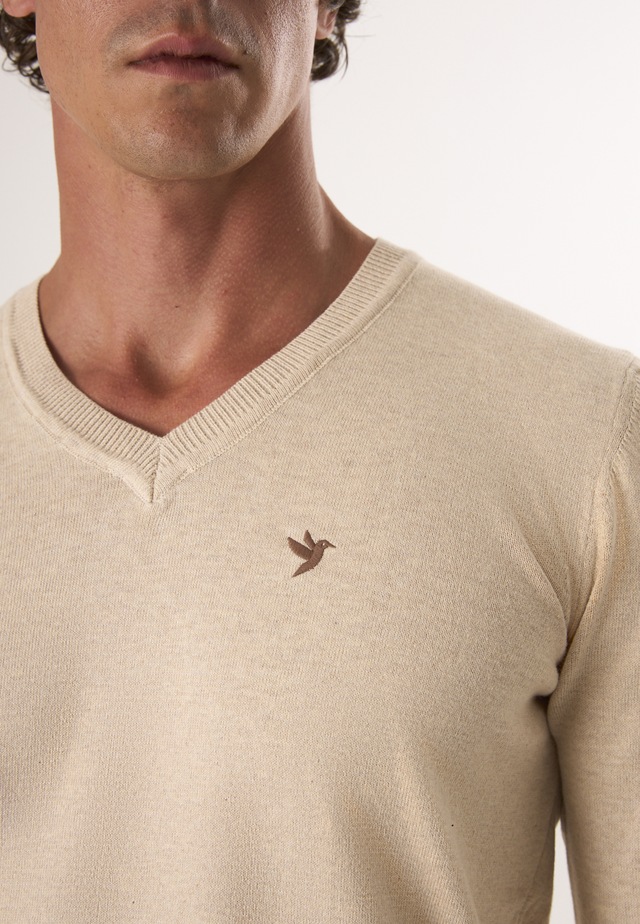 Felix Hardy V-Ausschnitt-Pullover »Pullover mit V-Ausschnitt«