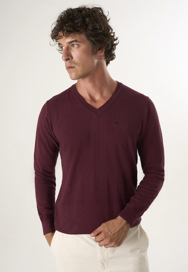 Felix Hardy V-Ausschnitt-Pullover »Pullover mit V-Ausschnitt«