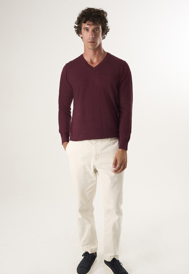 Felix Hardy V-Ausschnitt-Pullover »Pullover mit V-Ausschnitt«