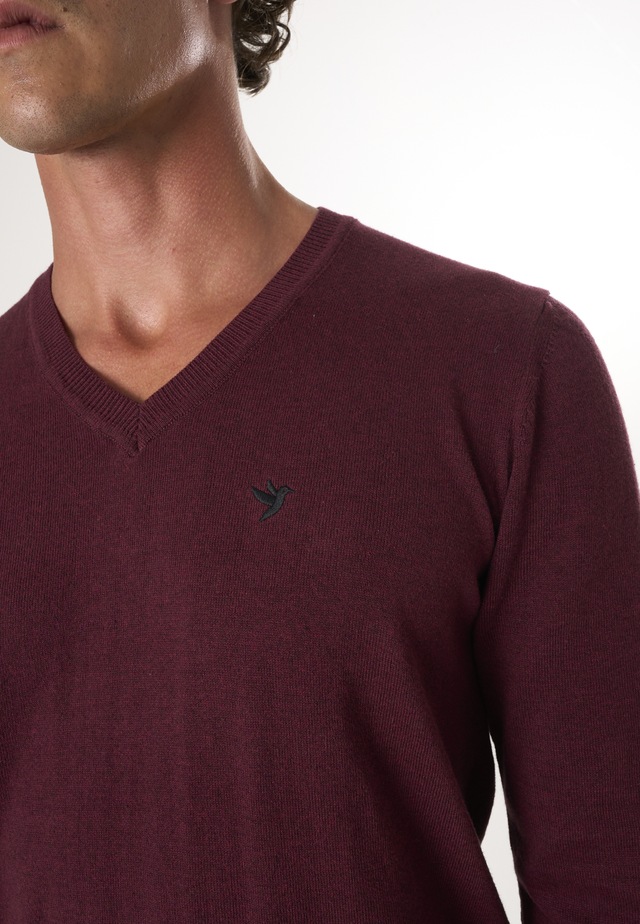 Felix Hardy V-Ausschnitt-Pullover »Pullover mit V-Ausschnitt«