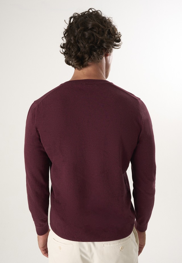Felix Hardy V-Ausschnitt-Pullover »Pullover mit V-Ausschnitt«