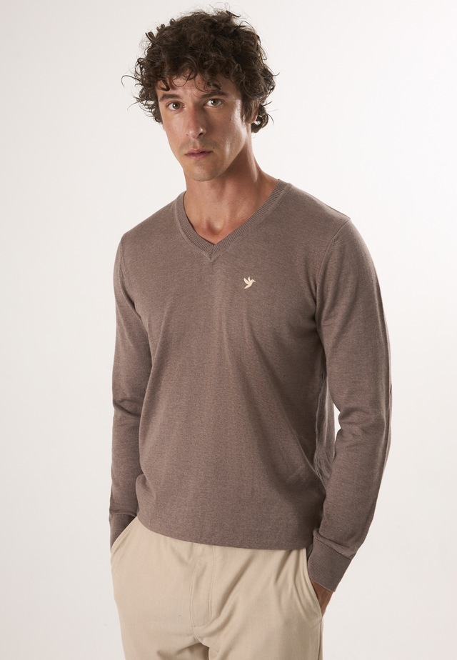 Felix Hardy V-Ausschnitt-Pullover »Pullover mit V-Ausschnitt«