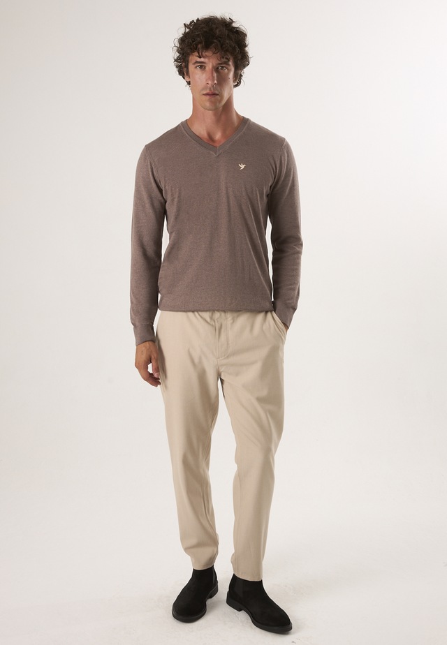 Felix Hardy V-Ausschnitt-Pullover »Pullover mit V-Ausschnitt«