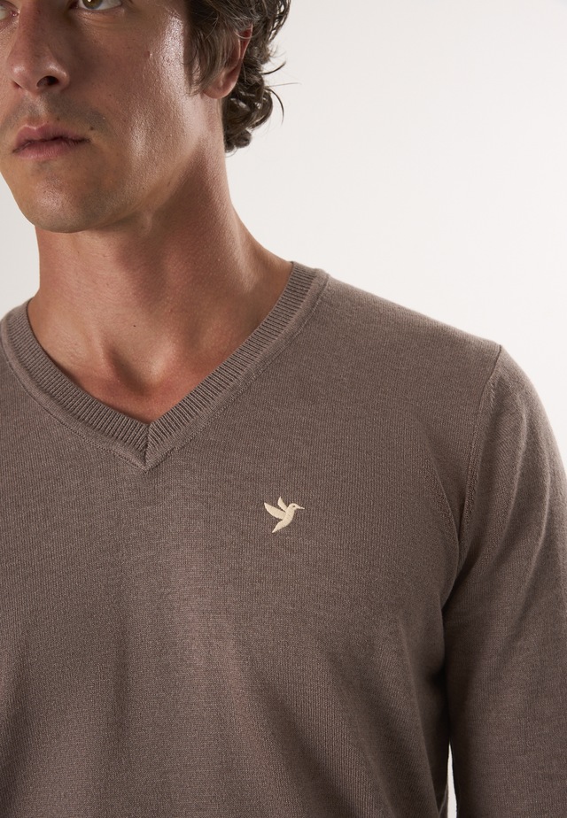 Felix Hardy V-Ausschnitt-Pullover »Pullover mit V-Ausschnitt«