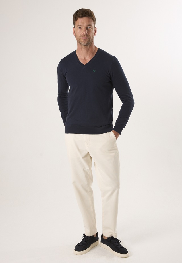 Felix Hardy V-Ausschnitt-Pullover »Pullover mit V-Ausschnitt«