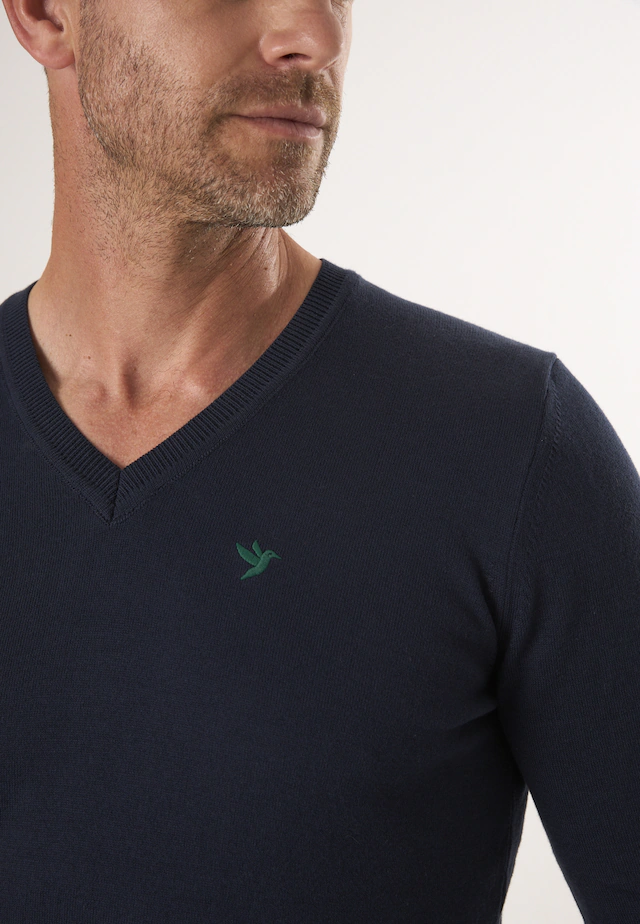 Felix Hardy V-Ausschnitt-Pullover »Pullover mit V-Ausschnitt«