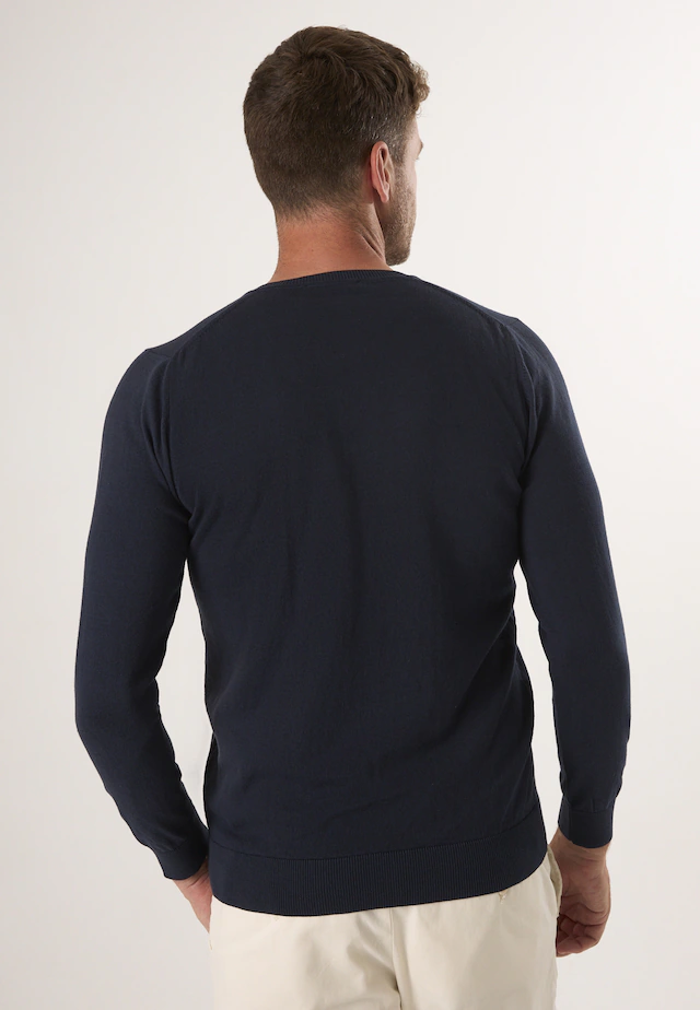 Felix Hardy V-Ausschnitt-Pullover »Pullover mit V-Ausschnitt«