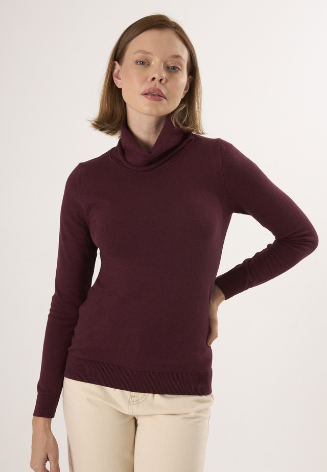 Felix Hardy Rollkragenpullover »Rollkragenpullover«