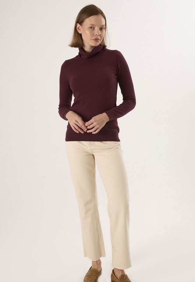 Felix Hardy Rollkragenpullover »Rollkragenpullover«