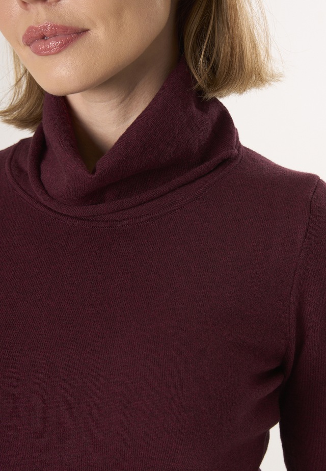 Felix Hardy Rollkragenpullover »Rollkragenpullover«