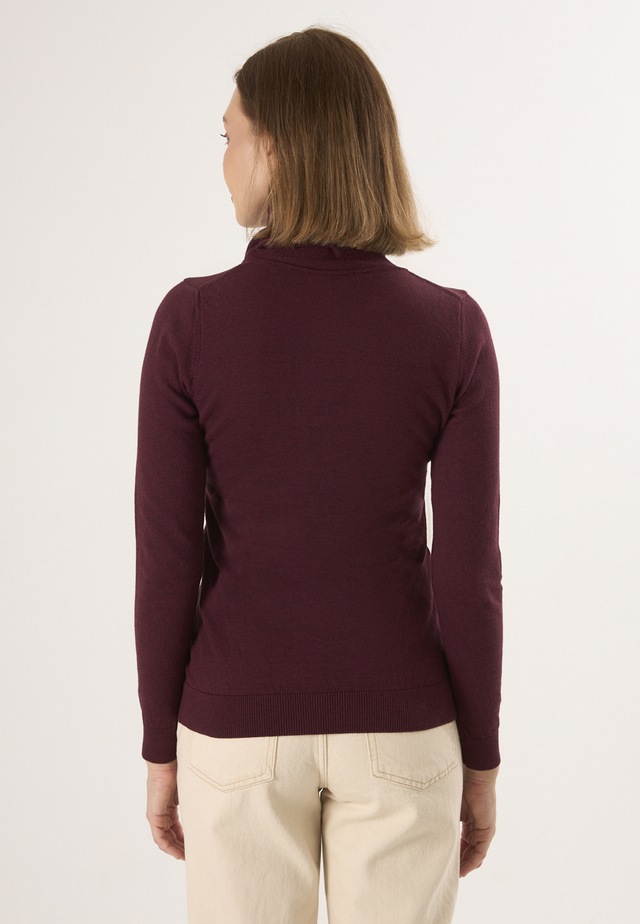 Felix Hardy Rollkragenpullover »Rollkragenpullover«
