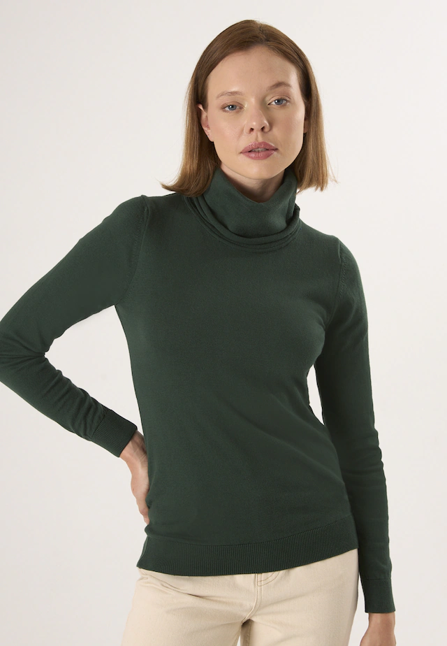 Felix Hardy Rollkragenpullover »Rollkragenpullover«