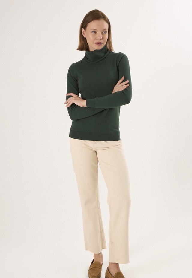 Felix Hardy Rollkragenpullover »Rollkragenpullover«