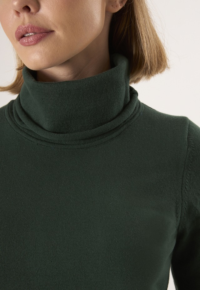 Felix Hardy Rollkragenpullover »Rollkragenpullover«