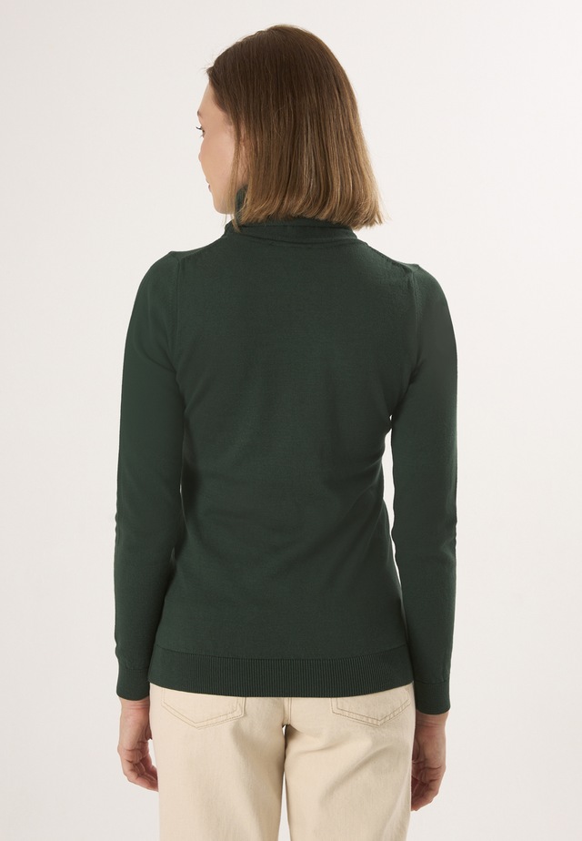 Felix Hardy Rollkragenpullover »Rollkragenpullover«