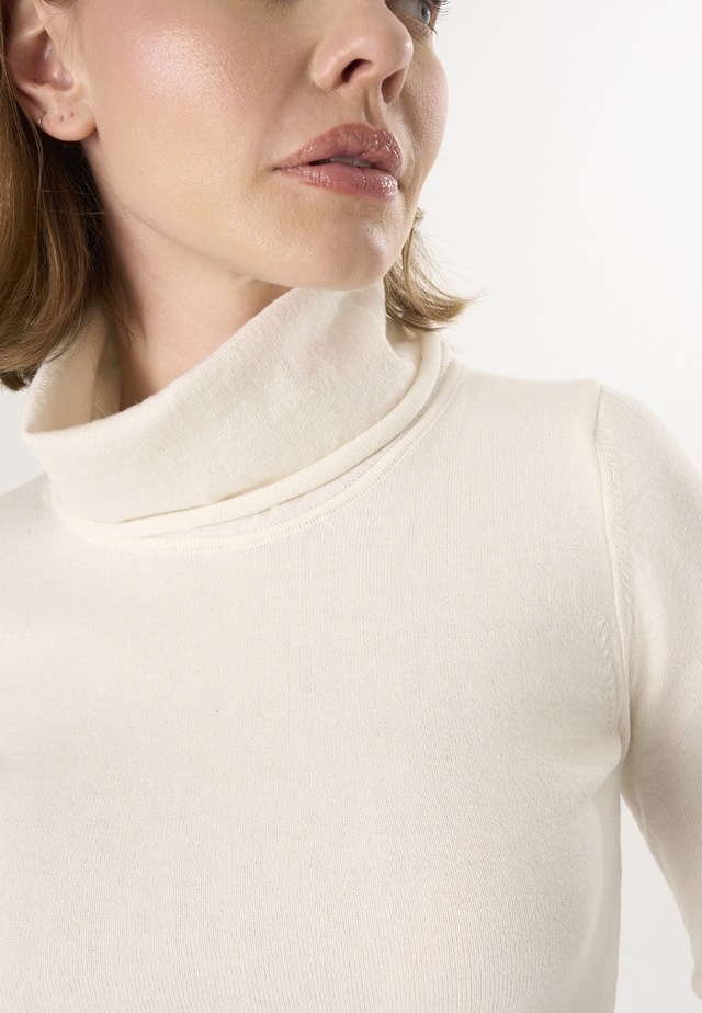 Felix Hardy Rollkragenpullover »Rollkragenpullover«