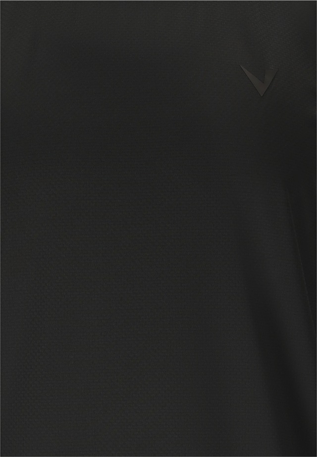 Virtus Funktionsshirt »Roger V3« in atmungsaktiver Qualität
