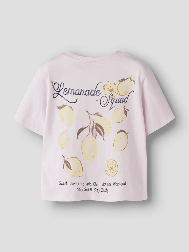 Name It T-Shirt »NMFJAYSLINE SS NREG TOP BOX« Baumwolle, regular fit