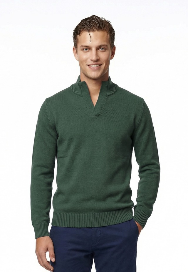 Felix Hardy Stehkragenpullover »Pullover Stehkragen«