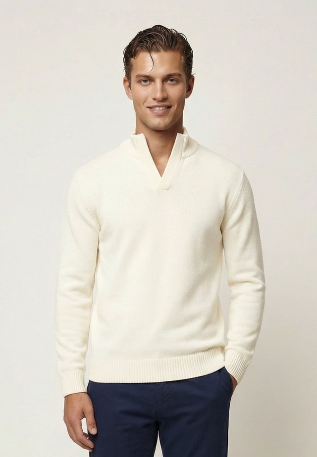 Felix Hardy Stehkragenpullover »Pullover Stehkragen«