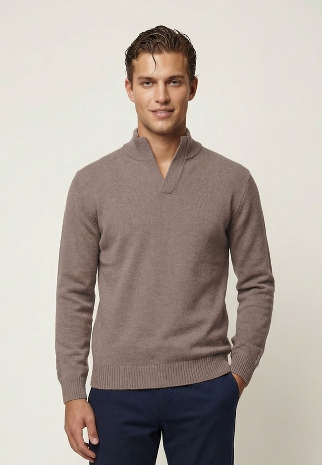 Felix Hardy Stehkragenpullover »Pullover Stehkragen«