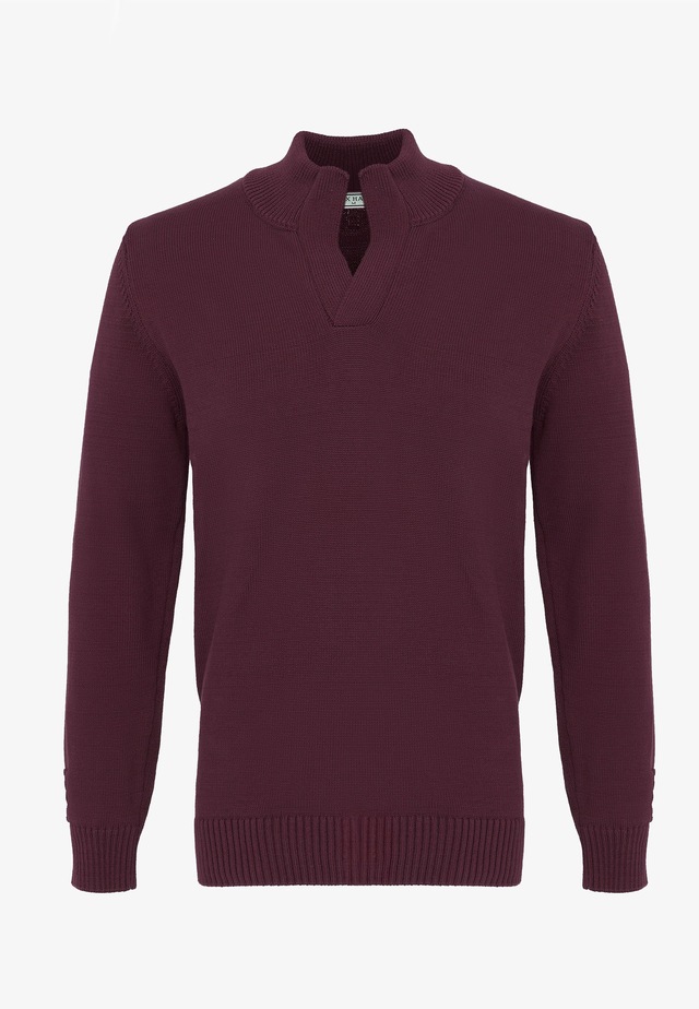 Felix Hardy Stehkragenpullover »Pullover Stehkragen«
