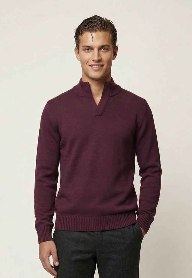 Felix Hardy Stehkragenpullover »Pullover Stehkragen«