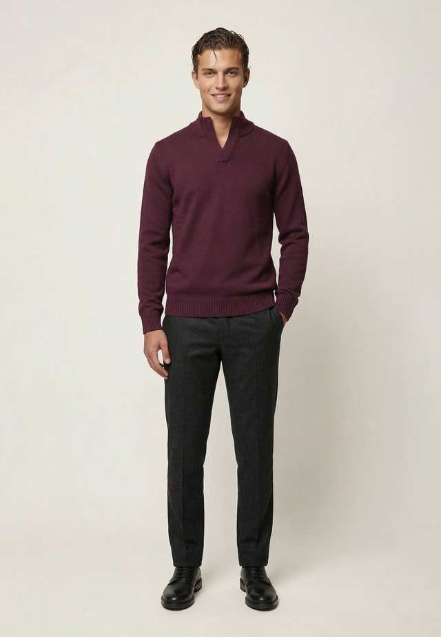 Felix Hardy Stehkragenpullover »Pullover Stehkragen«