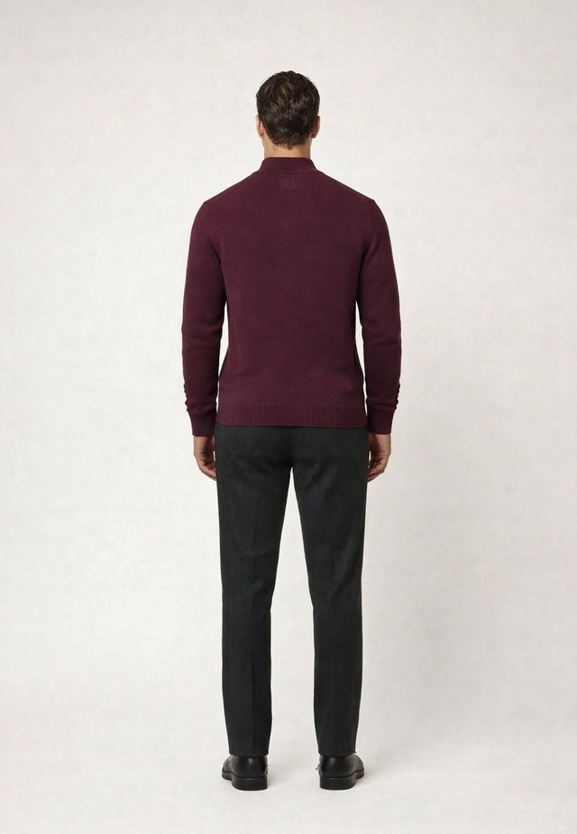 Felix Hardy Stehkragenpullover »Pullover Stehkragen«