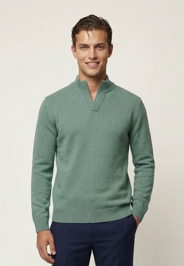 Felix Hardy Stehkragenpullover »Pullover Stehkragen«