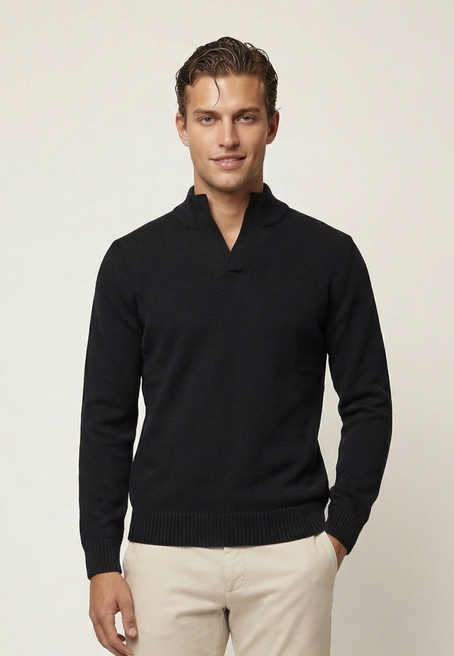 Felix Hardy Stehkragenpullover »Pullover Stehkragen«