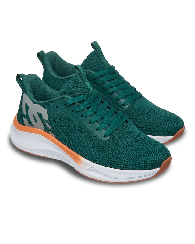 DC Shoes Sneaker »Roammax«