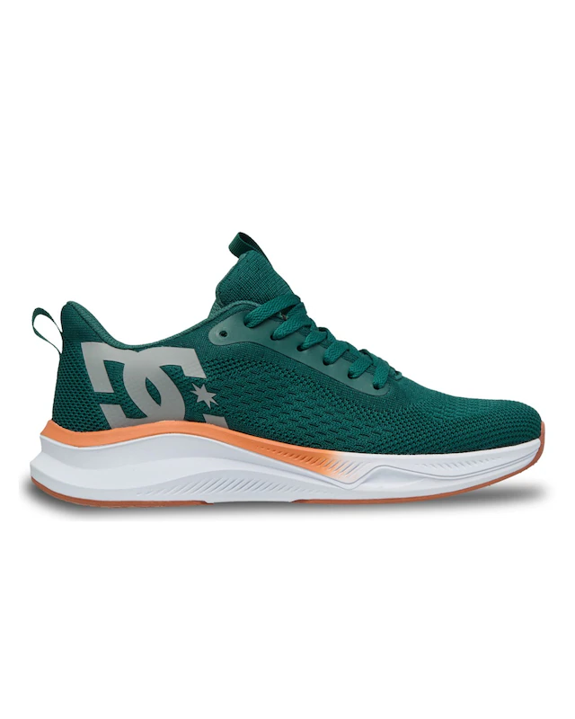 DC Shoes Sneaker »Roammax«