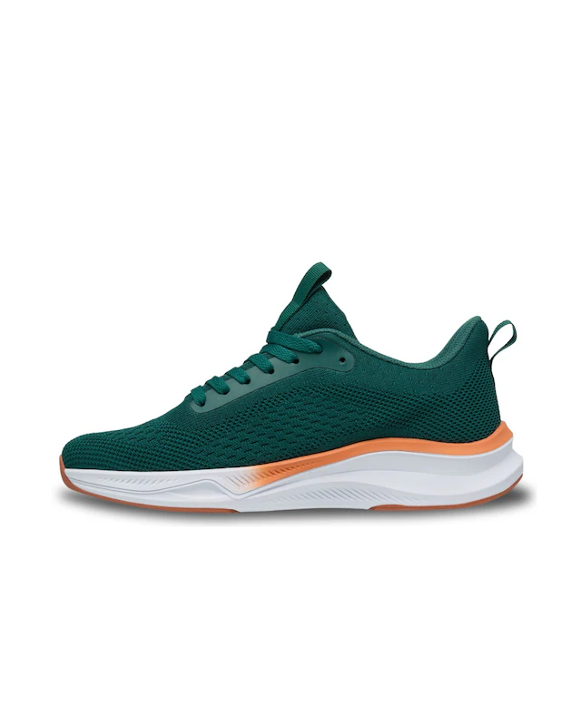 DC Shoes Sneaker »Roammax«